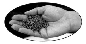 Management of shrimp ponds to reduce the eutrophication potential of effluents