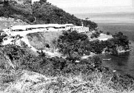 Article image for Ten years of breeding at Aquamarina de la Costa in Venezuela
