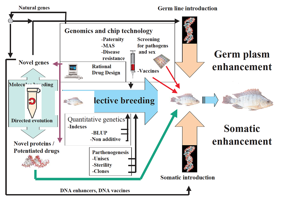 Article image for Bioinformatics: The ultimate breeding tool