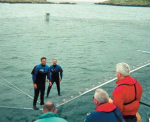 Fences in the ocean