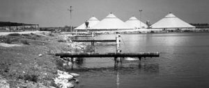Nitrogen control and protein recycling: Activated suspension ponds