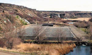 Advances in the development of low-pollution feeds for salmonids