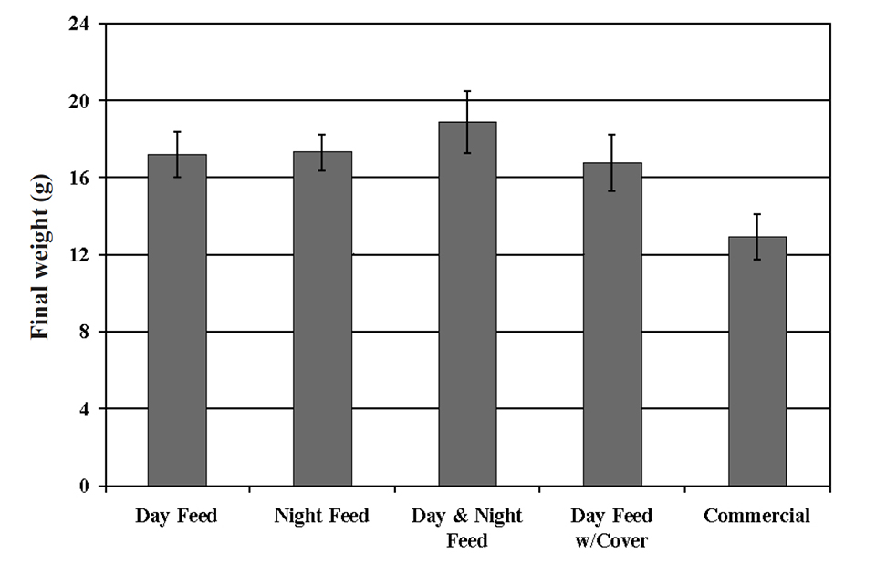 Article image for Shrimp feeds and feeding regimes in zero-exchange outdoor tanks