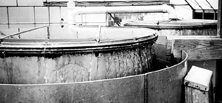 Article image for Bioeconomics of greenhouse recirculating systems for tilapia production