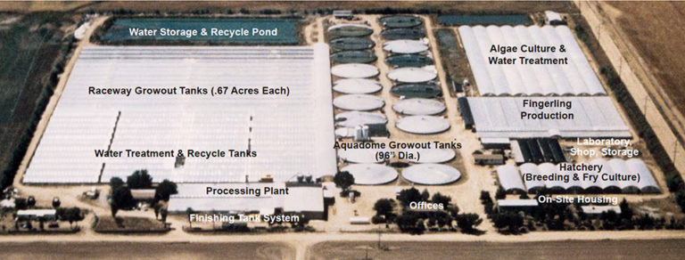 Article image for Closed-cycle, controlled environment systems: the Solar Aquafarms story