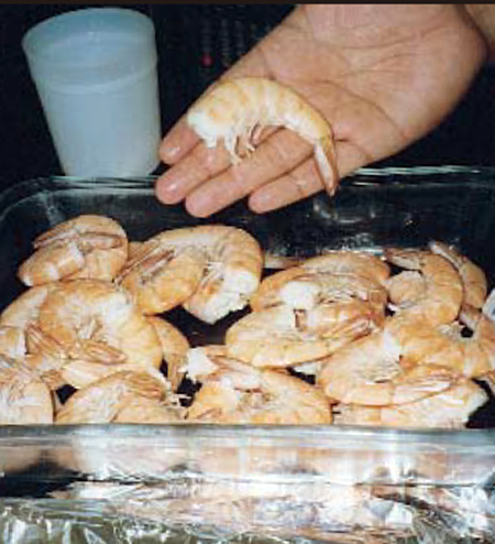 Article image for Design considerations for a modern shrimp-cooking facility