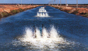 Effluent composition and water quality standards