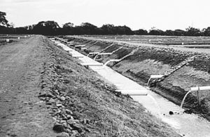 EPA rule-making for aquaculture effluents in the United States