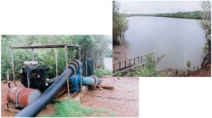Family shrimp farm in Australia