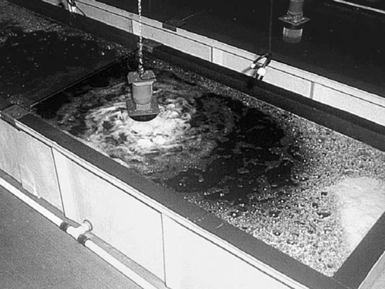 Article image for Commercialization of modified fish and shellfish poses issues