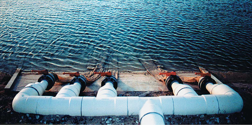 Article image for Changing paradigms in shrimp farming, part 5