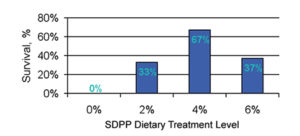 Trials show promise for spray-dried plasma protein in shrimp feeds