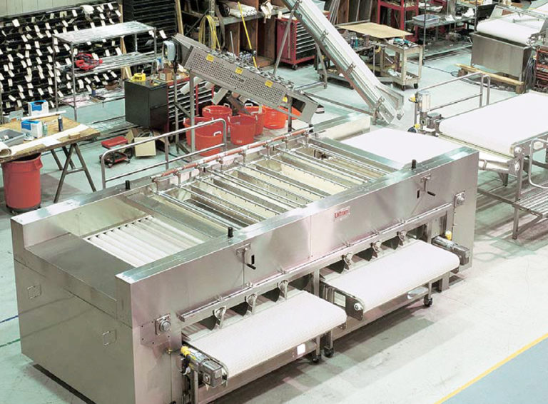 Article image for Making the grade: A comparison of shrimp grading systems