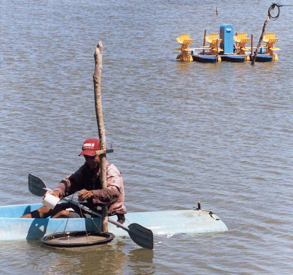 Article image for Feeding tray technique improves shrimp feed management in Brazil
