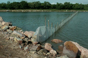 Shrimp feed management in Panama