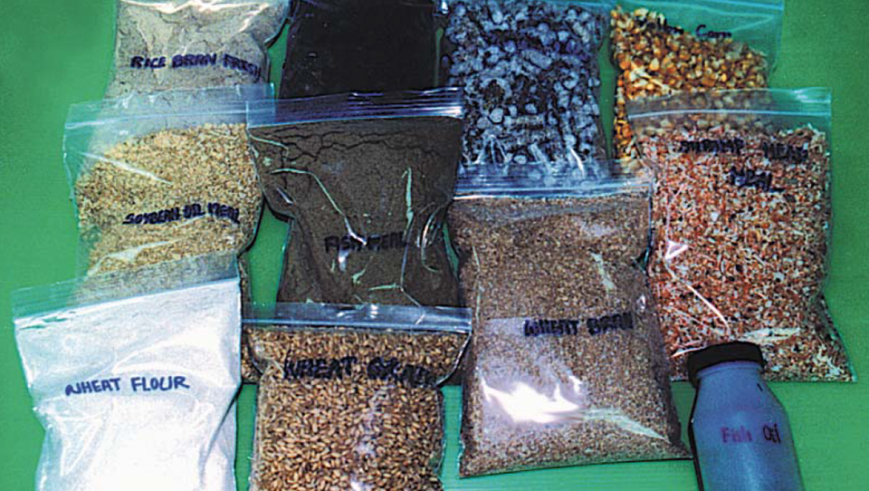 Article image for Aquatic feed manufacturing, part 1