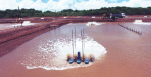 Aeration, mixing and sludge control in shrimp ponds