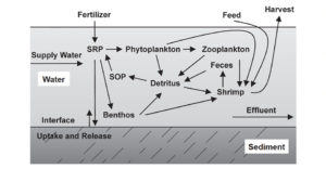 Water quality standards: Total phosphorus