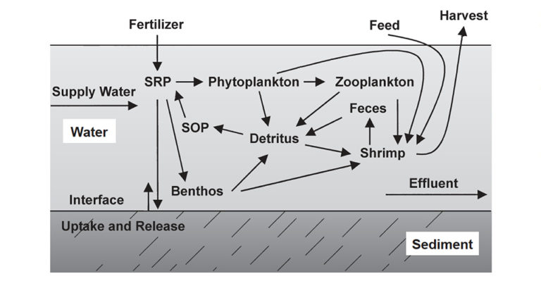 Article image for Water quality standards: Total phosphorus