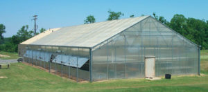 Bead filter enhances RAS for tilapia production
