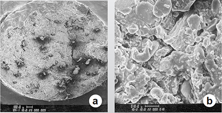 Article image for Preconditioning shrimp feeds, Part 2