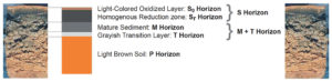 Sediment accumulation in earthen shrimp ponds