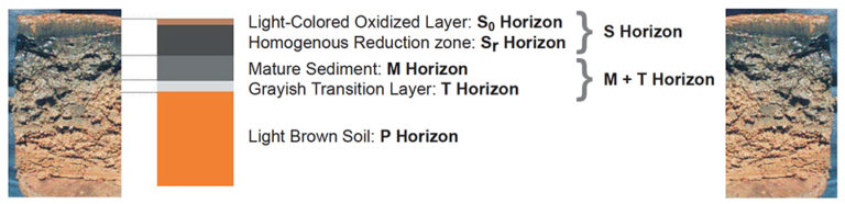 Article image for Sediment accumulation in earthen shrimp ponds