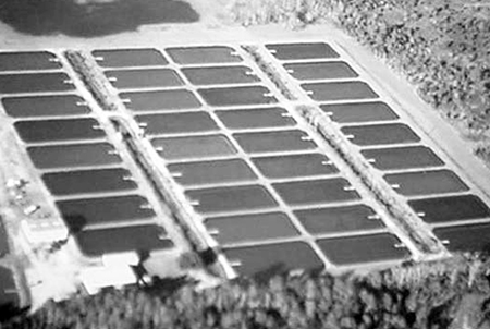 Article image for Water recycling study evaluates changes in chemical characteristics