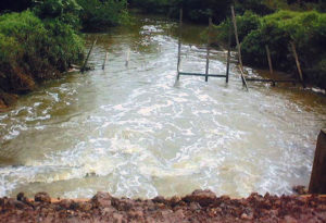 Nitrogen and phosphorus loads vary by system