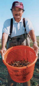 Grow-out test of freshwater prawns finds effects of feed protein levels limited