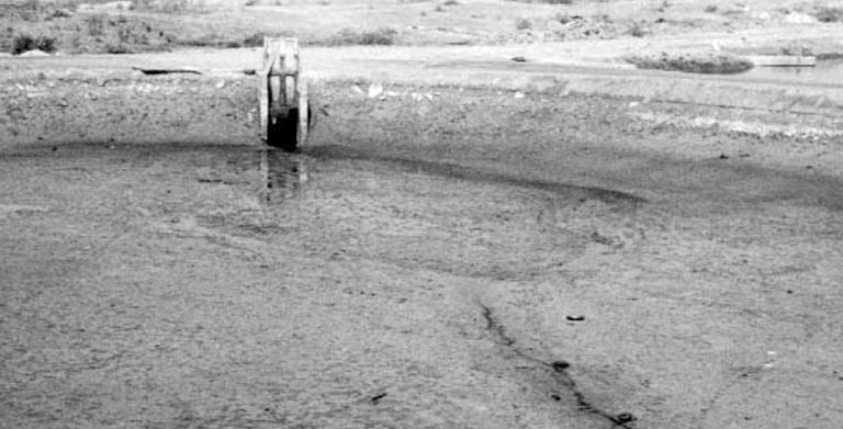 Article image for Shrimp production systems with low/no water exchange