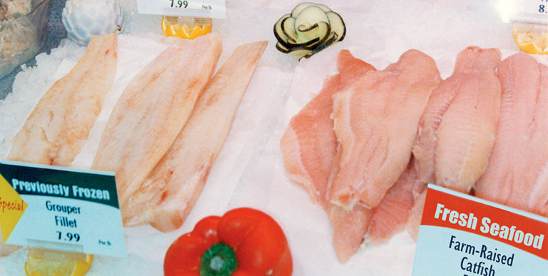 Article image for Microbial plate counts: Do they accurately predict quality in aquacultured catfish?