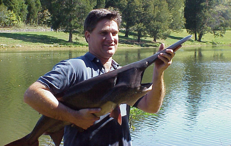 Article image for Paddlefish culture emerging in United States