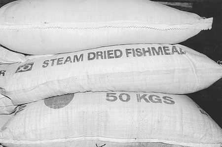 Article image for IFOAM drafts basic standards for organic aquaculture production