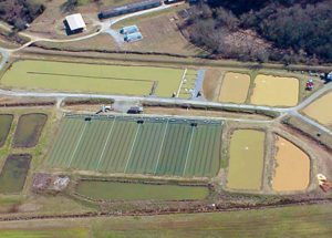 Partitioned aquaculture systems