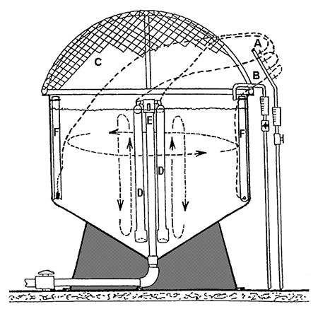 Article image for Zero-exchange shrimp production: Design and modeling