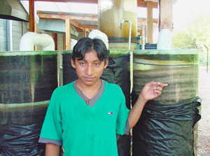 Honduras hatchery uses recirculation systems for shrimp broodstock maturation