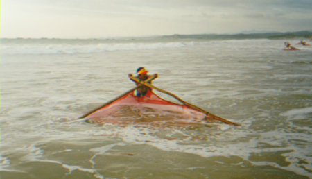 Article image for Ecuador study shows wild postlarvae use down