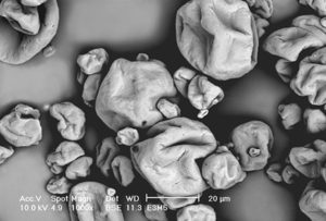 Microencapsulated, composite-wall diets compare well to commercial feeds for shrimp larvae