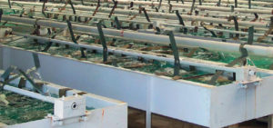 Channel catfish seedstock: Studies yield suggestions for hatching success