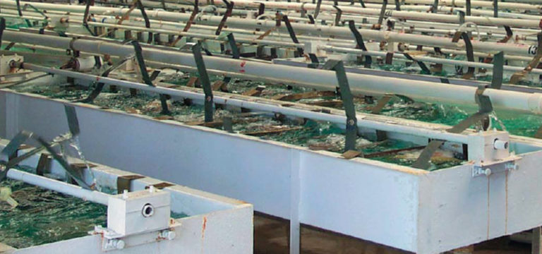 Article image for Channel catfish seedstock: Studies yield suggestions for hatching success