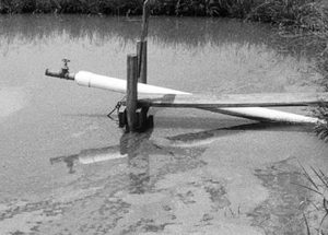 Managing algae in pond aquaculture