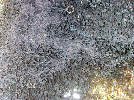 Article image for Comparison of multiple-batch, modular catfish production systems