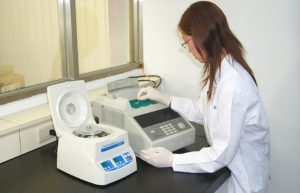 Advances in technology for shrimp virus detection