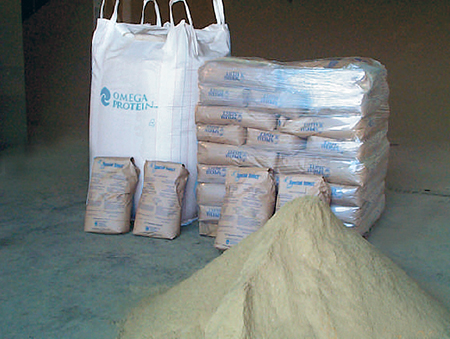 Article image for Mexico research studies digestibility in fishmeals