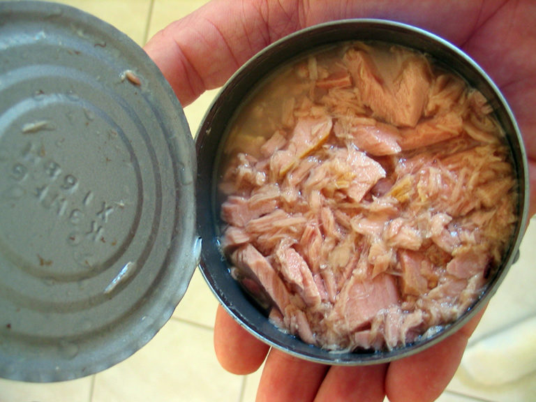 Article image for Mercury scare: Conflicting reports affect U.S. seafood attitudes, consumption