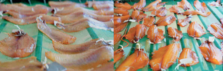 Article image for Brazil study tests Nile tilapia fillets processed by hot, cold smoking