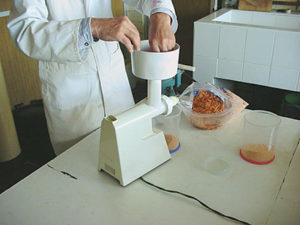 Mexican institute studies dried artemia biomass as feed for postlarval shrimp