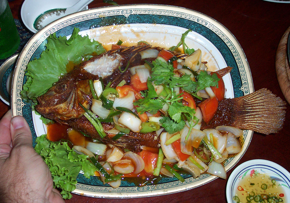 Article image for Tilapia: A truly global aquaculture industry