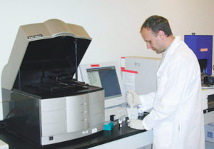 Quantitative, molecular genetic selection for shrimp disease resistance